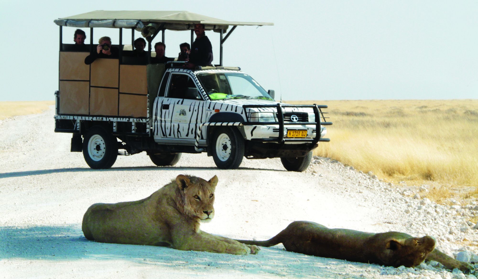 Villa Gondwana Etosha Safari Camp à Okaukuejo Extérieur photo
